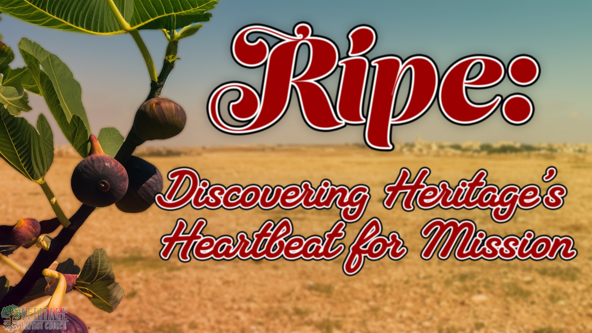 RIPE: Discovering Heritage’s Heartbeat for Mission